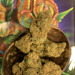 Cannabis Light Orange Gelato