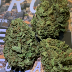 Cannabis Light Green Poison
